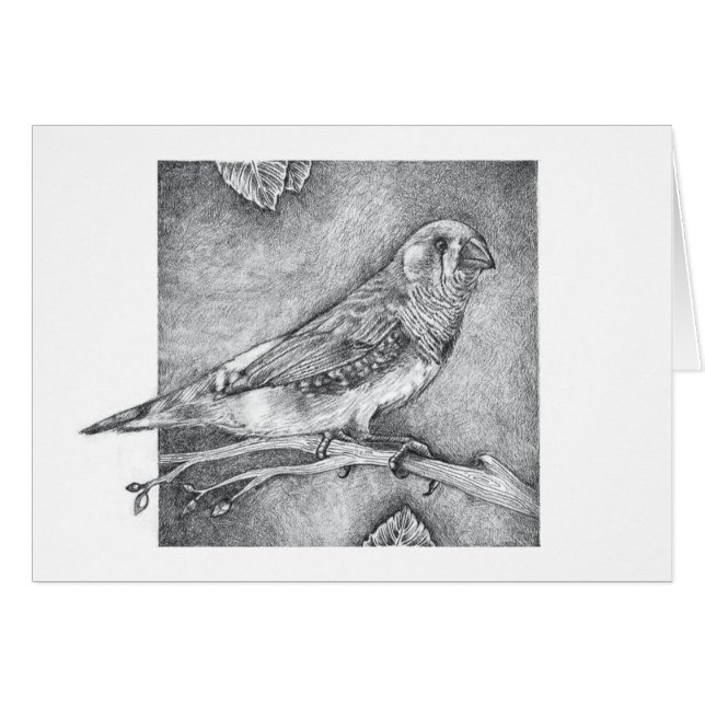 Zebra Finch (Voorkant Horizontaal)