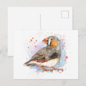 Zebra Finch Briefkaart (Voorkant / Achterkant)