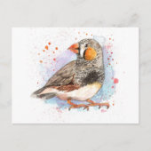 Zebra Finch Briefkaart (Voorkant)