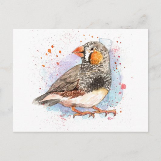 Zebra Finch Briefkaart (Voorkant)