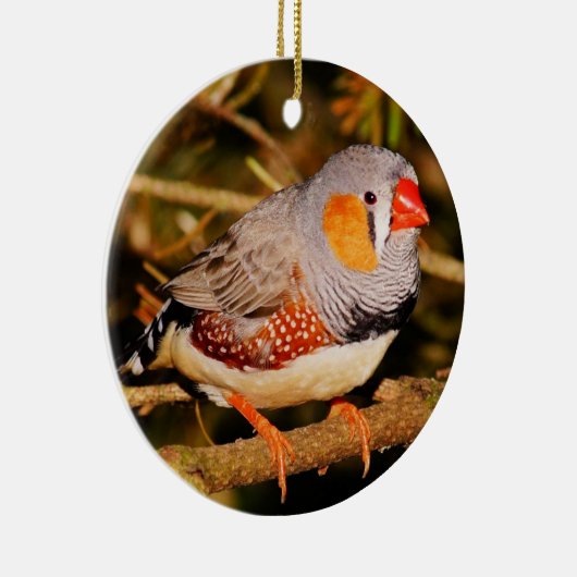 Zebra Finch Keramisch Ornament (Rechts)
