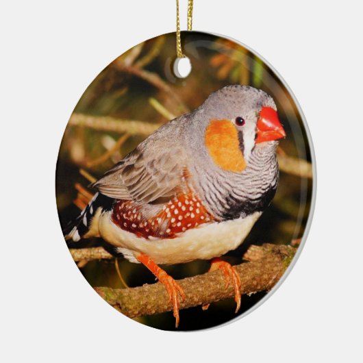 Zebra Finch Keramisch Ornament (Links)