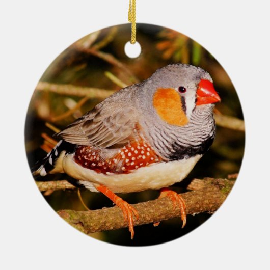 Zebra Finch Keramisch Ornament (Achterkant)