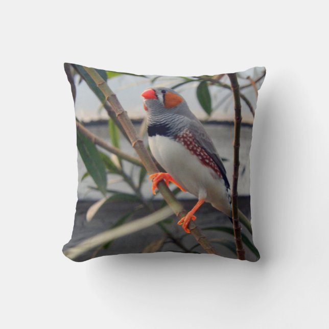 Zebra Finch Kussen (Voorkant)