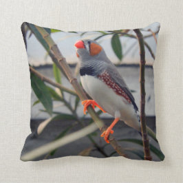 Zebra Finch Kussen