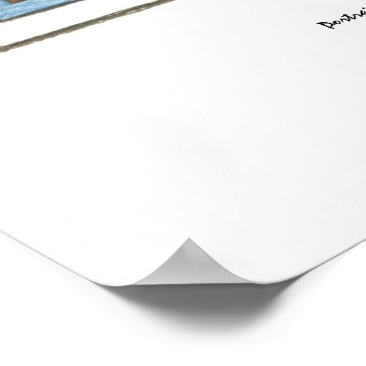 Zebra Finch Nouveau Poster (Hoek)