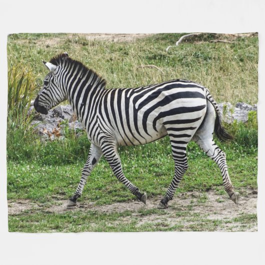 Zebra Fleece Blanket (Voorkant (Horizontaal))
