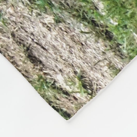 Zebra Fleece Blanket (Hoek)