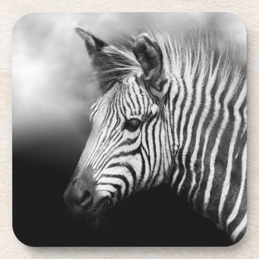 Zebra Foal Bier Onderzetter (Voorkant)