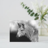 Zebra Foal Briefkaart (Staand voorkant)