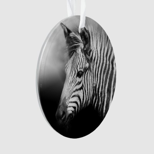 Zebra Foal Ornament (voorkant)