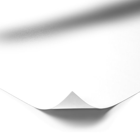 ZEBRA FOTO AFDRUK (Hoek)