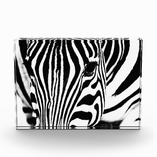 Zebra foto zwart-wit (Voorkant)