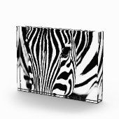 Zebra foto zwart-wit (Rechts)