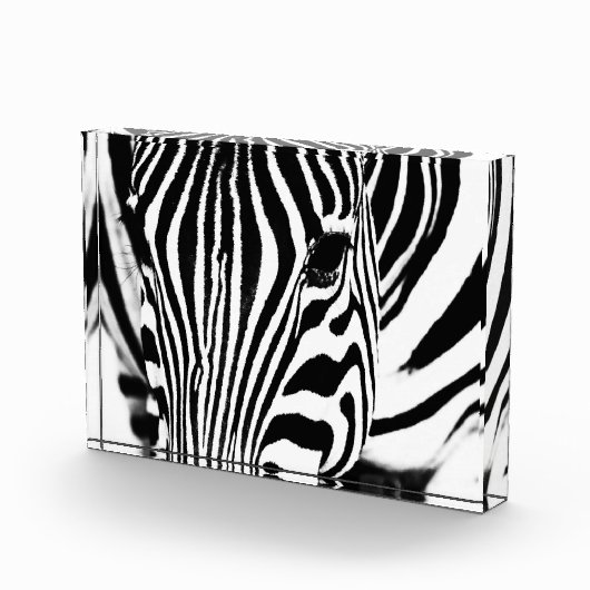 Zebra foto zwart-wit (Rechts)