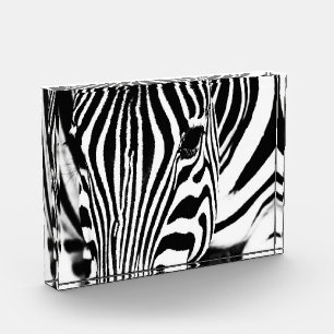 Zebra foto zwart-wit