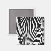 Zebra foto zwart-wit magneet (Voorkant / Achterkant)