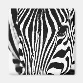 Zebra foto zwart-wit magneet (Voorkant)
