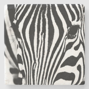 Zebra foto zwart-wit stenen onderzetter
