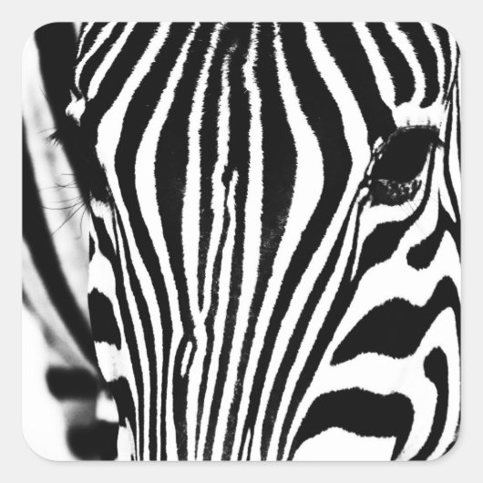 Zebra foto zwart-wit vierkante sticker (Voorkant)