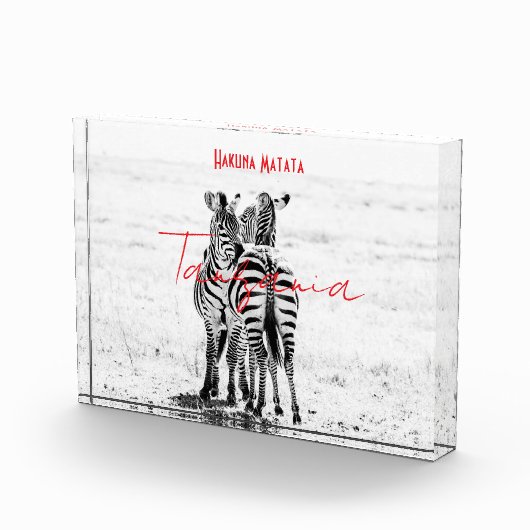 zebra fotoblokken (Rechts)