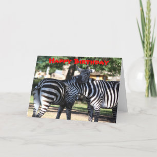 Zebra Friends Birthday Card Kaart