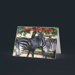 Zebra Friends Verjaardag Kaart<br><div class="desc">Op een foto van twee zebra's die hun hoofd tegen elkaar wrijven en die in de dierentuin werd genomen. Copyright Brenda Thour 2010.</div>