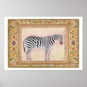 Zebra, from the 'Minto Album', 1621 (gouache on pa Poster (Voorkant)