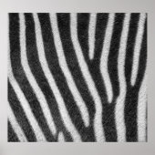Zebra Fur Animal Pattern Poster (Voorkant)