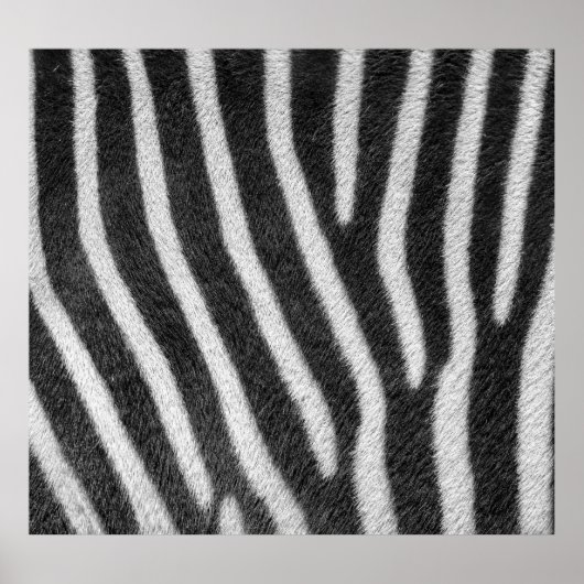Zebra Fur Animal Pattern Poster (Voorkant)