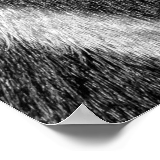 Zebra Fur Animal Pattern Poster (Hoek)