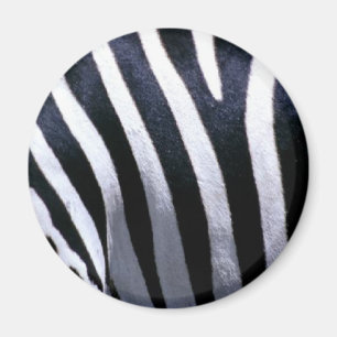 Zebra Fur Magneet