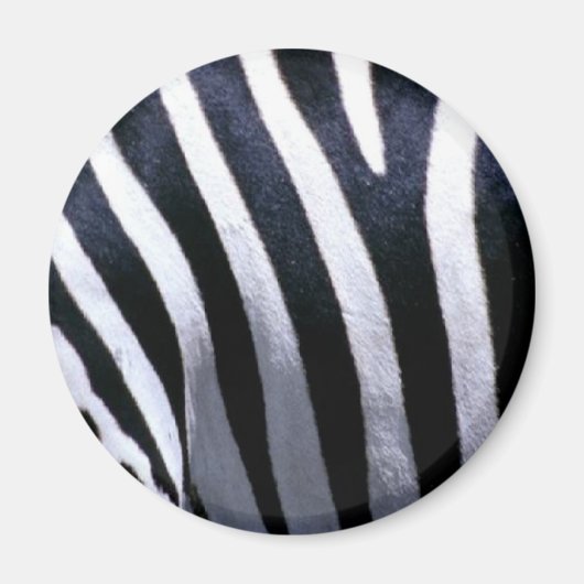 Zebra Fur Magneet (Voorkant)