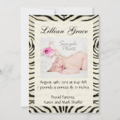 Zebra Geboorteaankondigingen Aankondiging (Voorkant)