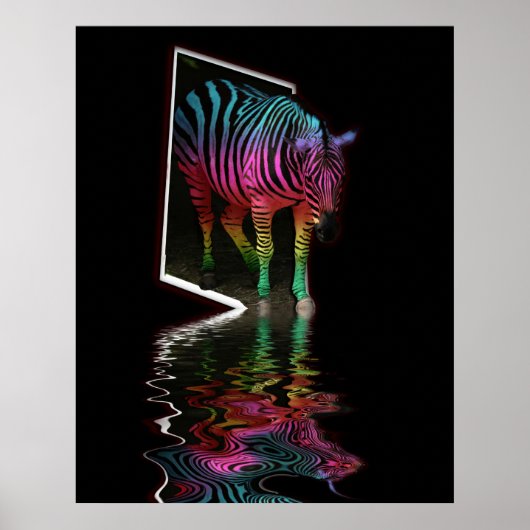 Zebra geschilderde overstroming vier poster (Voorkant)