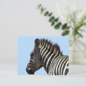 zebra gezicht briefkaart (Staand voorkant)