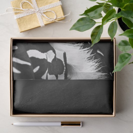 Zebra Glam Rock Star Decoupage Tissuepapier (Geschenk)