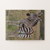 Zebra Glance 30-stuk Puzzle Legpuzzel (Horizontaal)