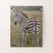Zebra Glance 30-stuk Puzzle Legpuzzel (Verticaal)