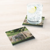 Zebra Glazen Onderzetter (Schuin)