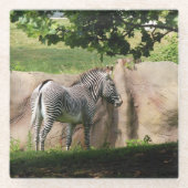 Zebra Glazen Onderzetter (Voorkant)