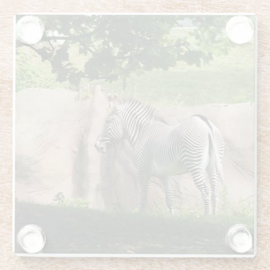 Zebra Glazen Onderzetter (Achterkant)