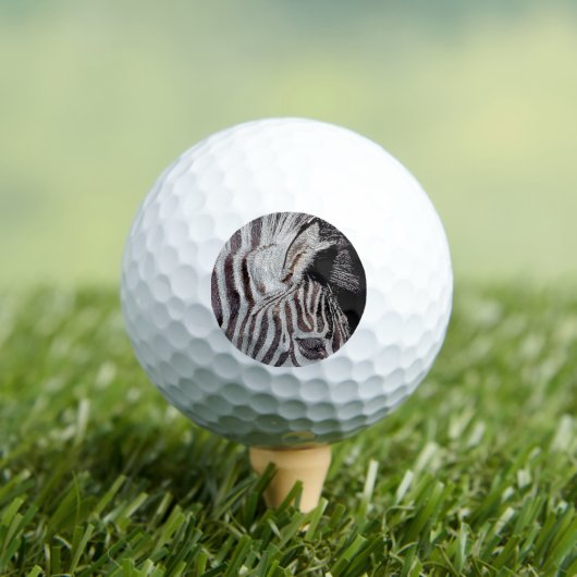 ZEBRA GOLFBALLEN (Insitu Shirt)