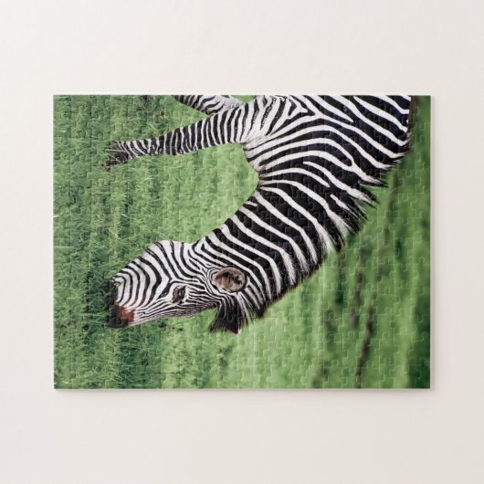 Zebra Graast Legpuzzel (Horizontaal)