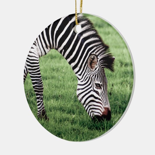 Zebra Grazing Keramisch Ornament (Links)