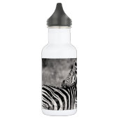 Zebra Herd Natuur Safari Black en White Stripes Waterfles (Links)