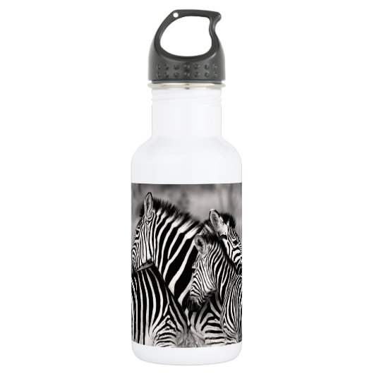 Zebra Herd Natuur Safari Black en White Stripes Waterfles (Voorkant)