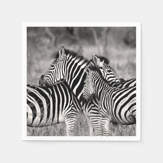 Zebra Herd Natuur Safari Zwart-wit Stripes Servet (Voorkant)