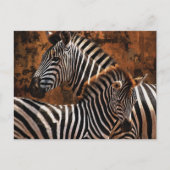 Zebra herfst strepen briefkaart (Voorkant)
