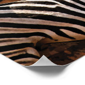 Zebra Herfst Stripes KLEINE poster, afdrukken, wan Poster (Hoek)